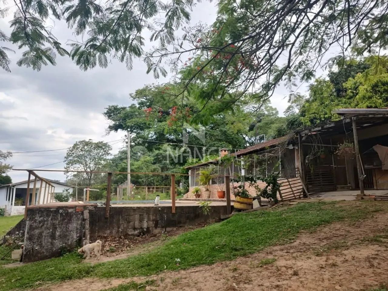 Venda de Rural / Sítio na cidade de Corumbataí - Foto 5