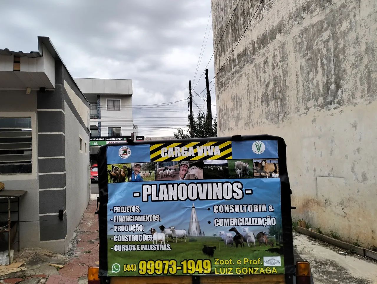 Consultoria em ovinocultura  - Foto 2