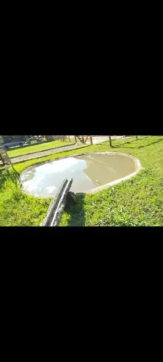 Espetacular Fazenda 42.5 hect. Município Santo Antônio à 30 km Outlet Premium - Foto 6