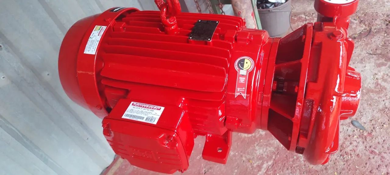 Bomba de 30 cv trifásica  - Foto 2