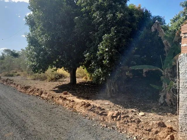 foto - Limeira - Jardim dos Jequitibás