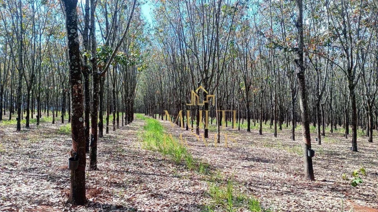 Fazenda à venda, 2541000 m² por R$ 21.000.000,00 - Jardim São José - Monte Aprazível/SP - Foto 2