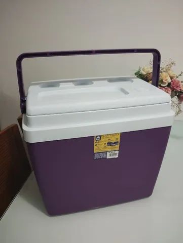 Caixa térmica com alça - 28L
