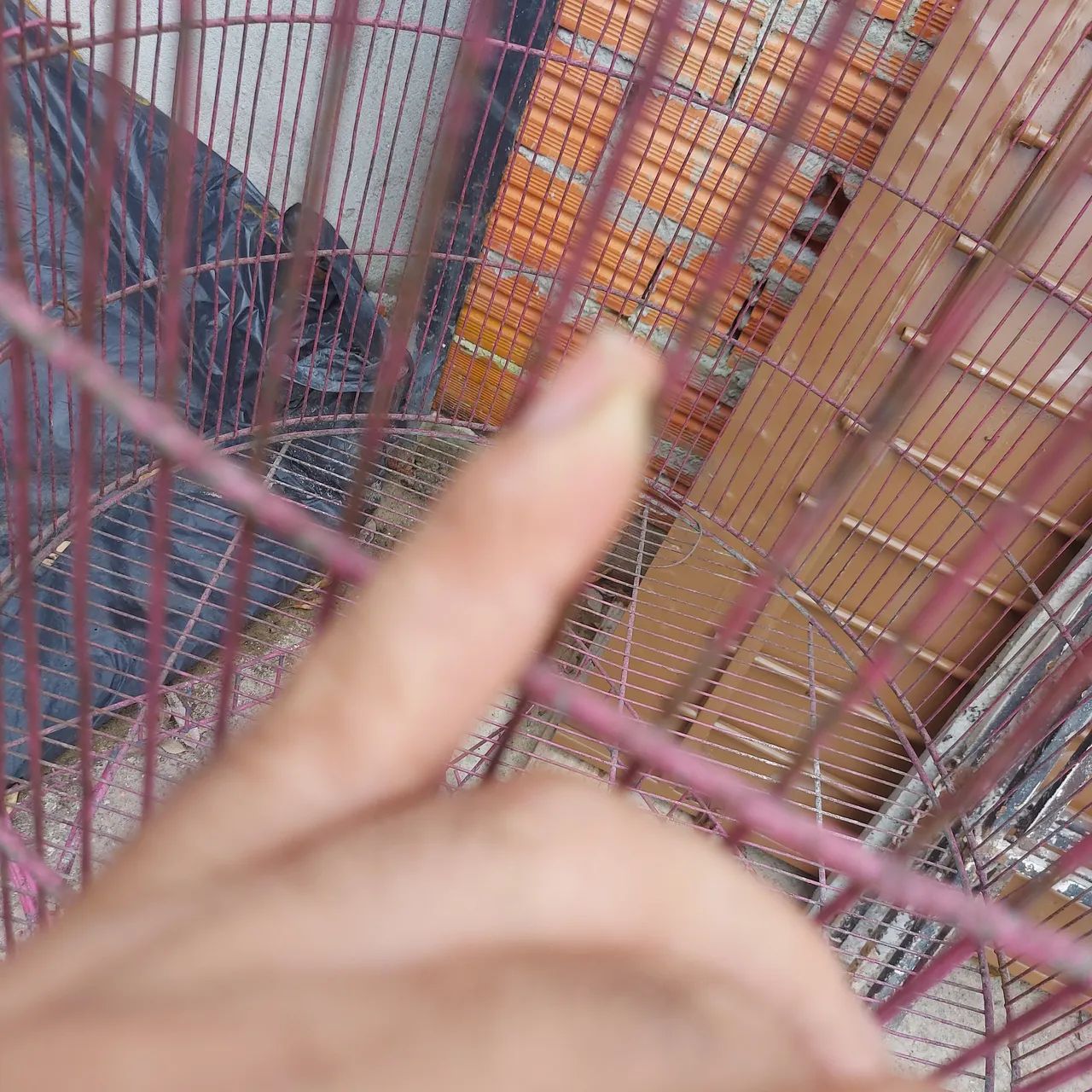 Gaiola redonda GIGANTE com cobertura e vão pequeno - Foto 4