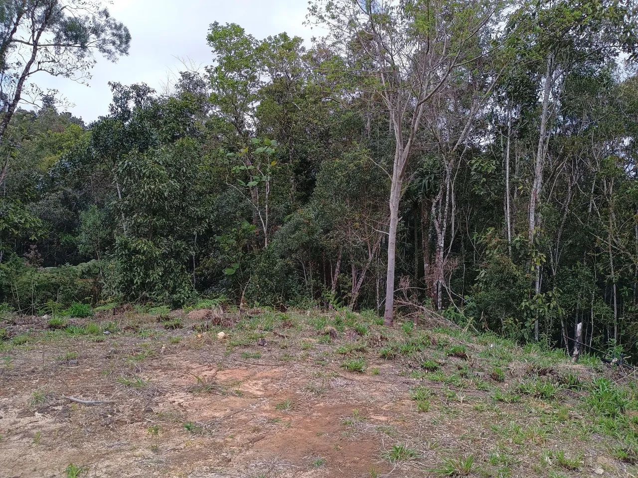 ANITÁPOLIS/SC - Terreno com vista espetacular para serra geral  - Foto 3