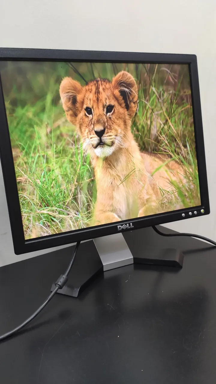 Monitor Dell - Imagem perfeita Semi novo