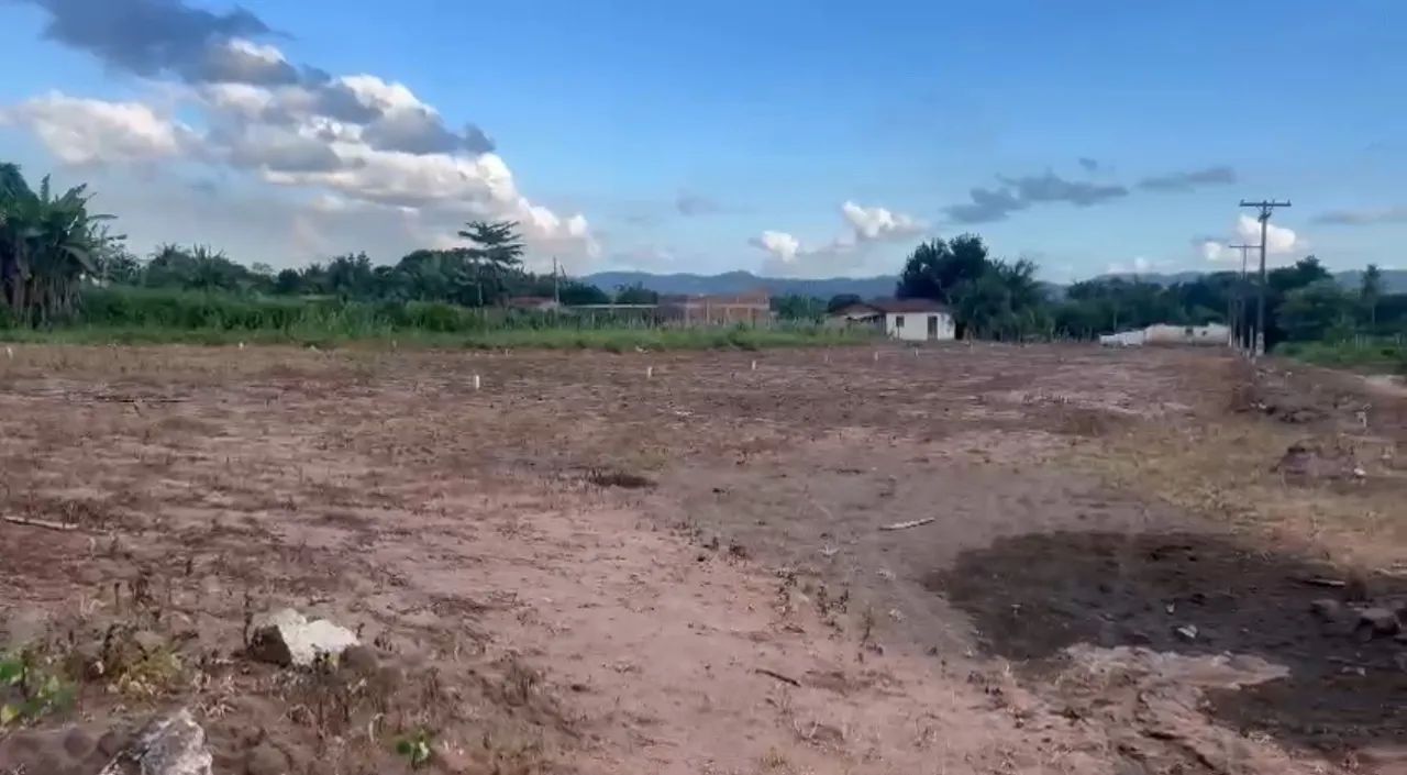 foto - Vitória de Santo Antão - Cajá