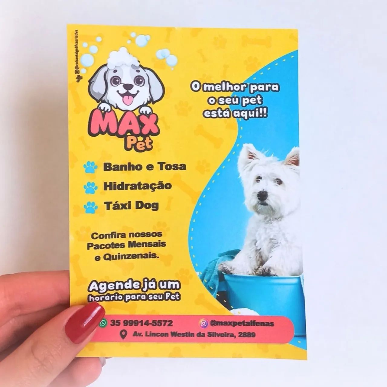 Panfleto personalizado crie sua identidade 