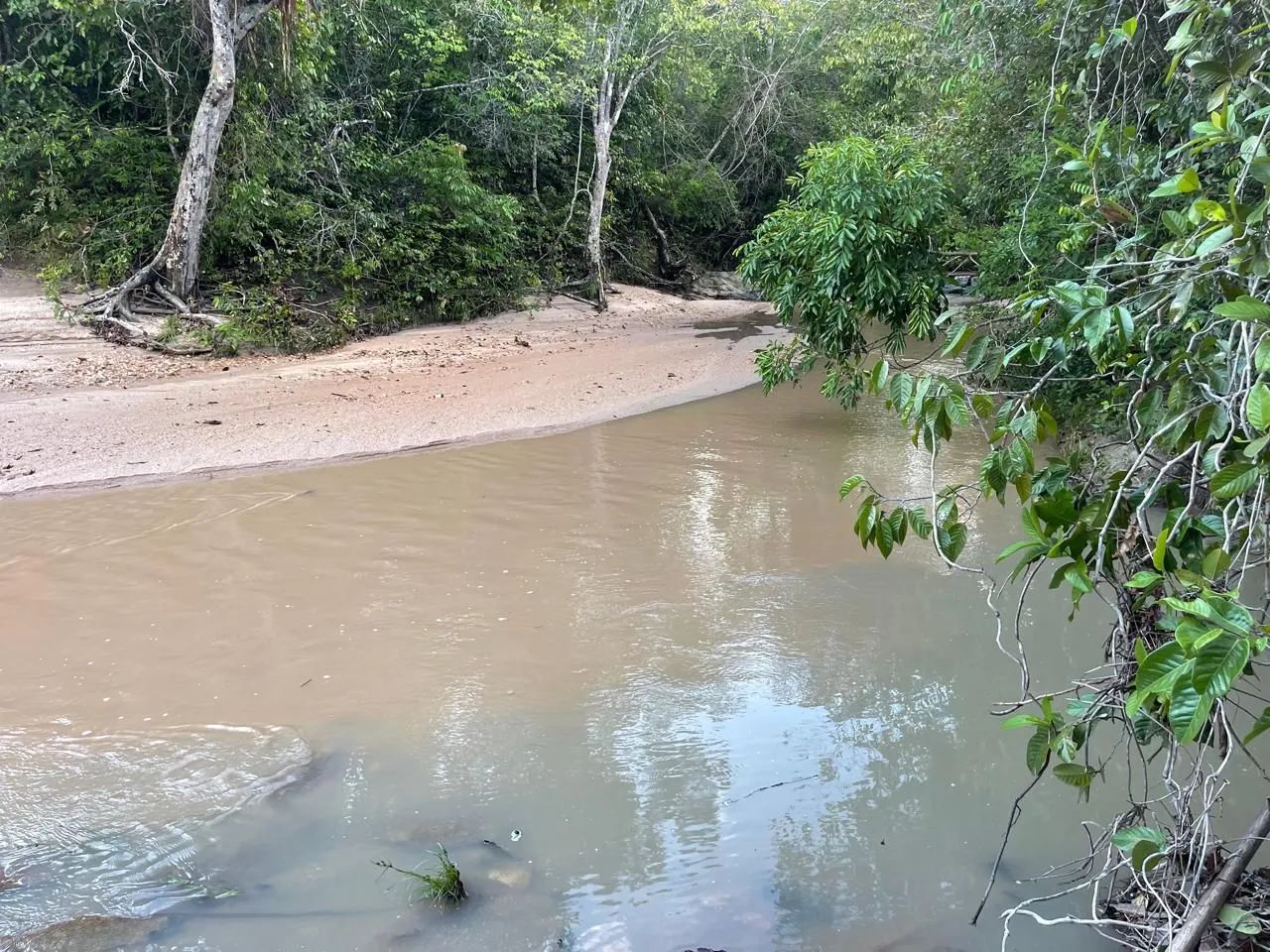 Fazenda em morro agudo - Foto 2