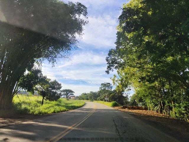 Chácara com pomar em produção - Foto 2