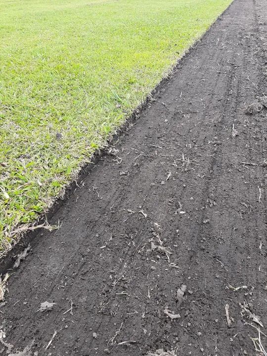 GRAMA ESMERALDAS DE SEGUNDA NO PALETE - Foto 3