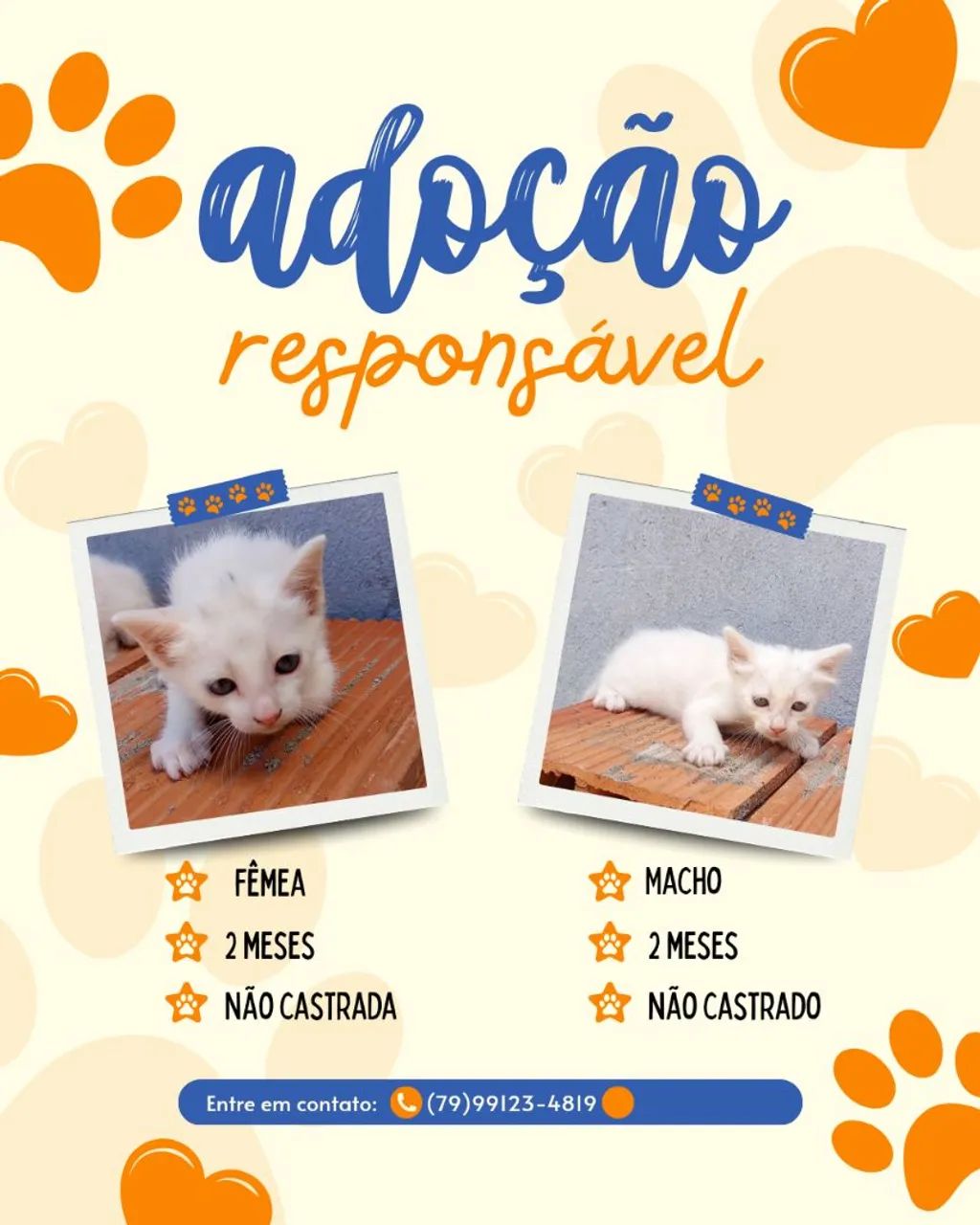 Adoção Responsável