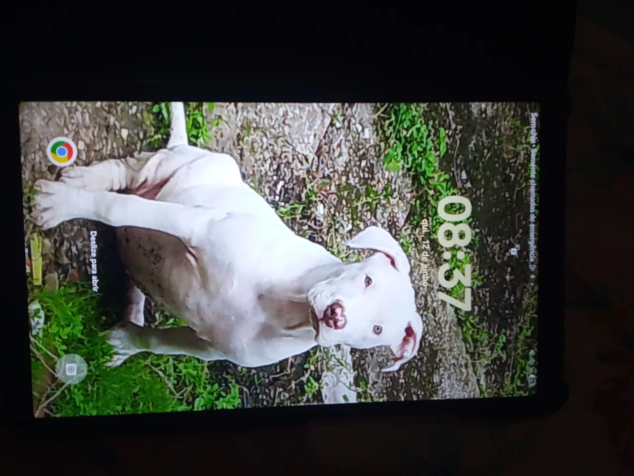 Tablet A9 Samsung em estado impecável Android 15