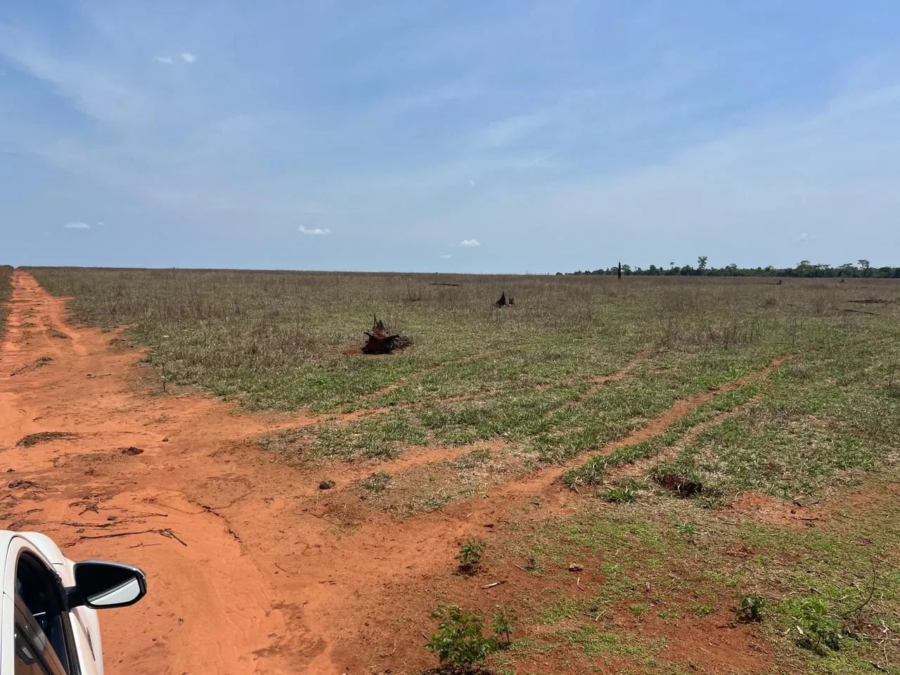Fazenda arrendamento 925hec em pasto, na região dos baianos MT. 