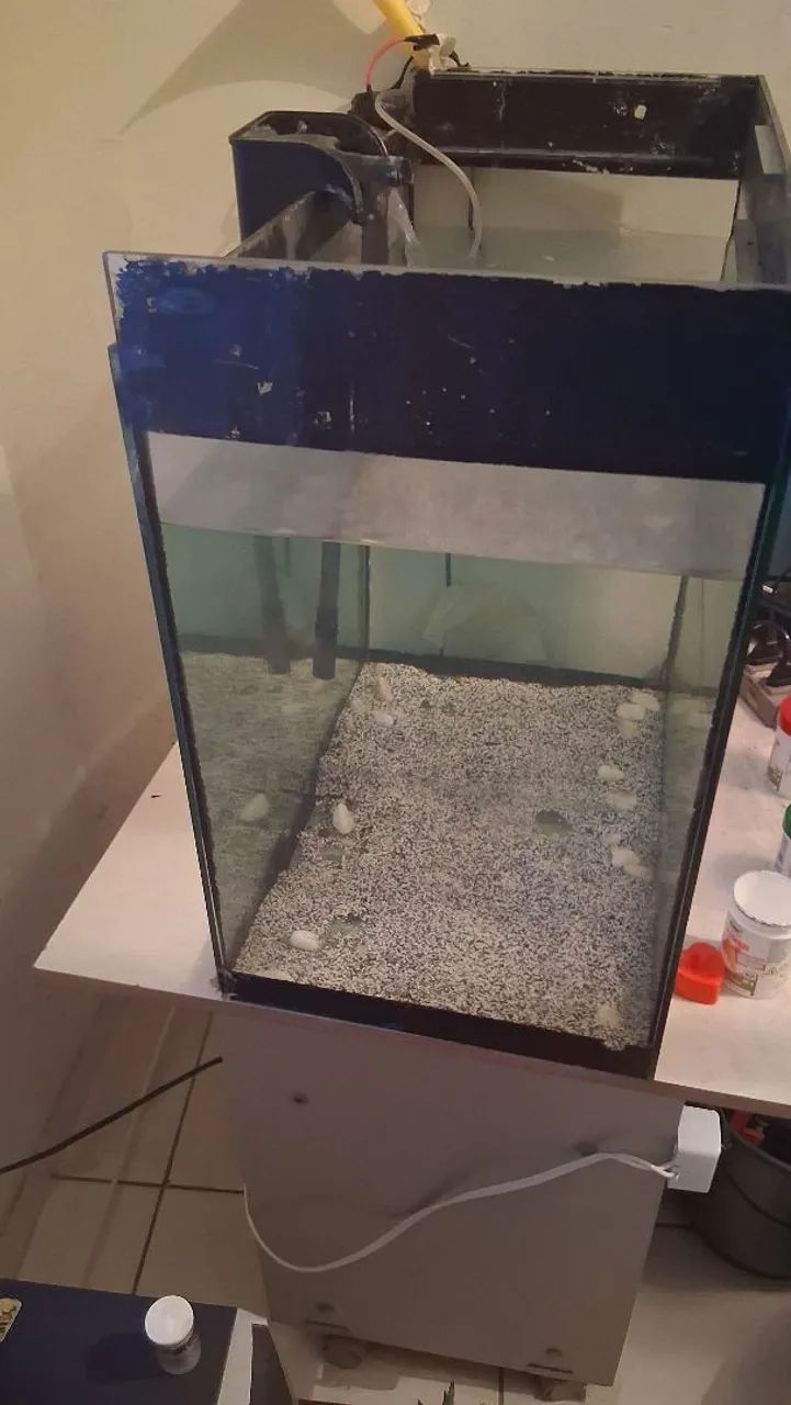 Aquario Lindo 60 L barato