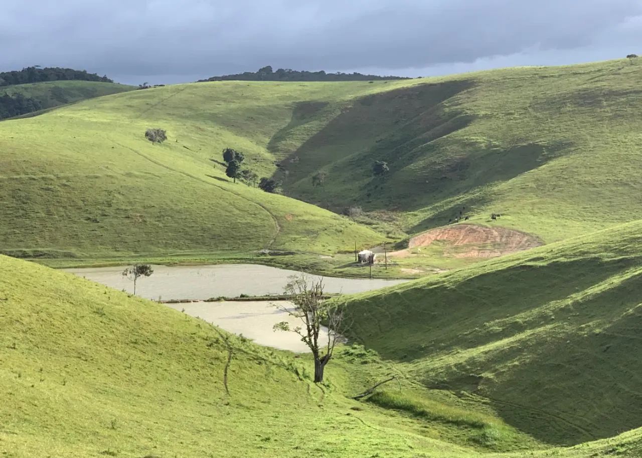 Fazendas a Venda  - Foto 3