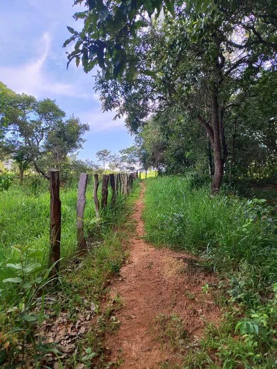 Chácara com pomar em produção