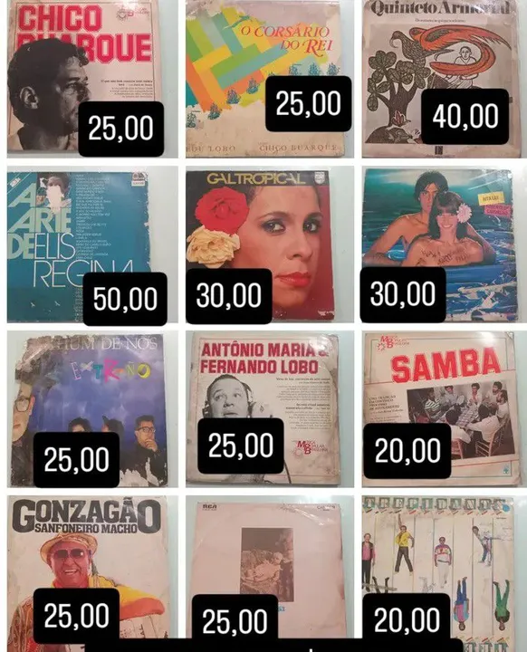 Coleção Lps MPB/Disco de Vinil/Chico Buarque/Elis Regina/Edu Lobo/Rita Lee