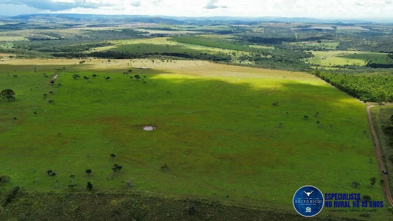 Fazenda de 40 Alqueires em Cocalzinho de Goiás - GO 40 Alqueires - Foto 4