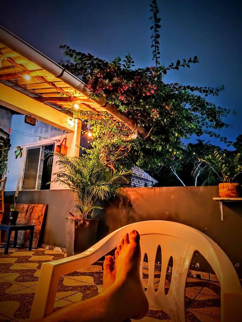 Foto - Belém - Mangueirão