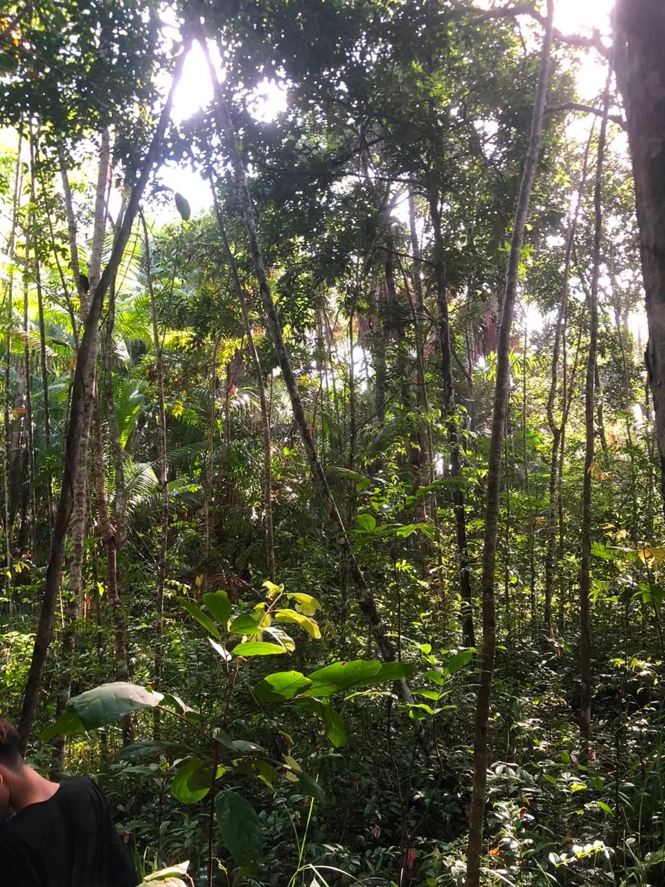 VENDE-SE TERRENO NA ILHA DE SANTANA/AP - Foto 2