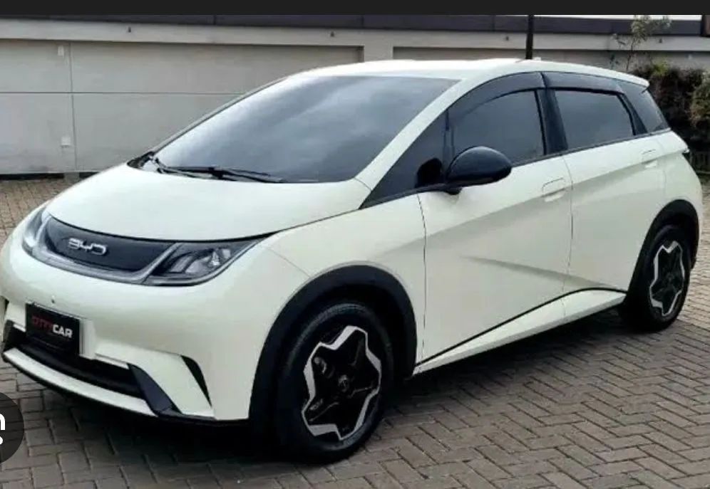 BYD Dolphin EV (Elétrico) 2024