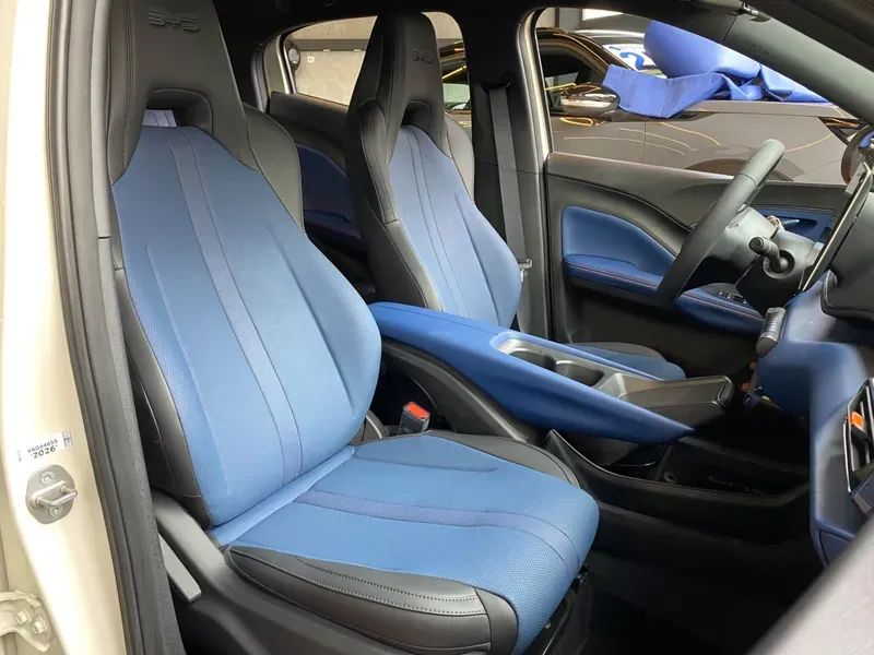 BYD Dolphin Mini GL, foto 10 de 20