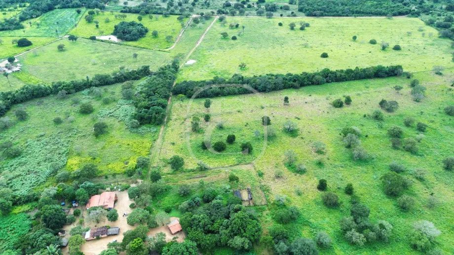 FAZENDA ARIZONA