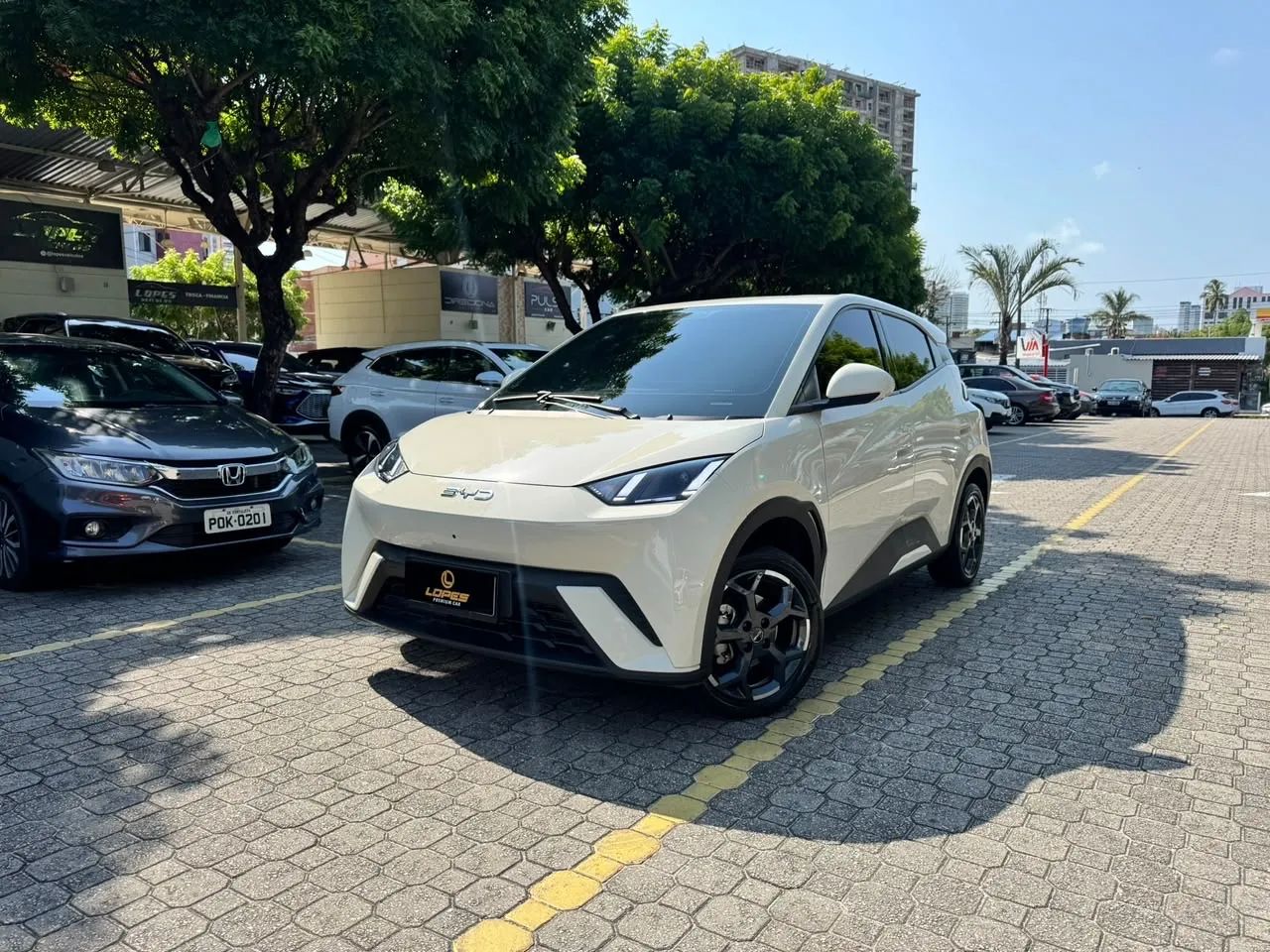 BYD Dolphin Mini (Elétrico) 2026
