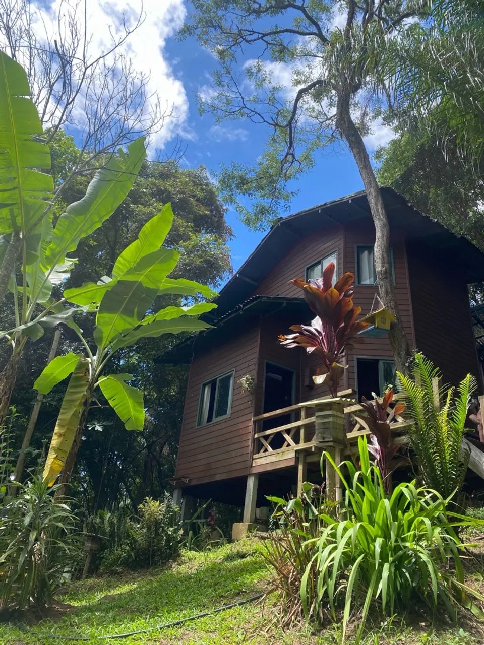 Casa de Madeira na Costa da Lagoa | Natureza, Tranquilidade e Home Office