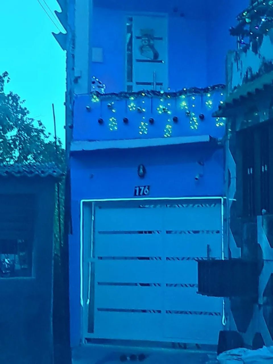 Foto - Manaus - Coroado