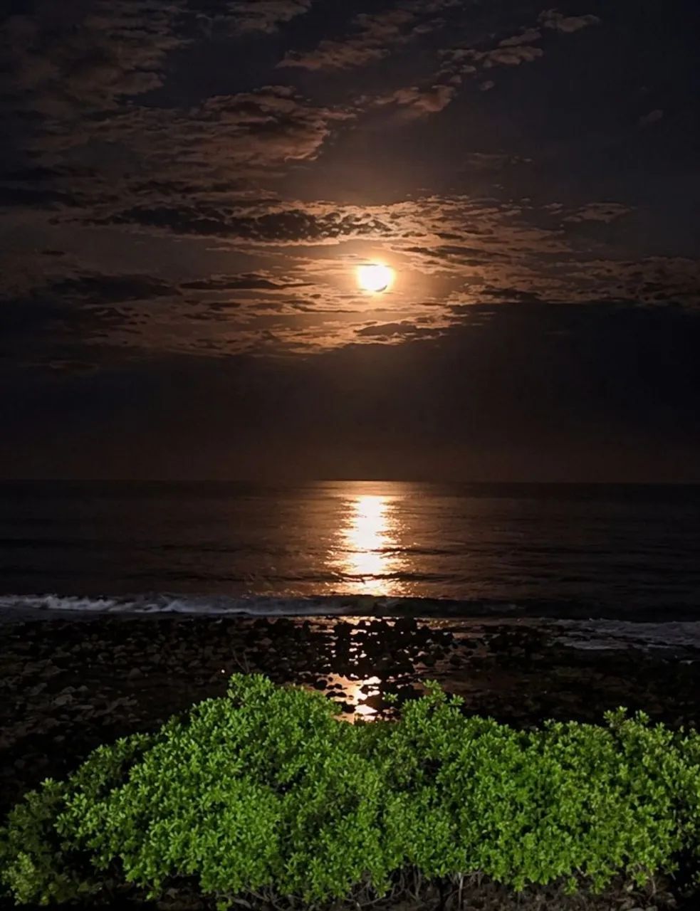 Casa beira mar  - Foto 5