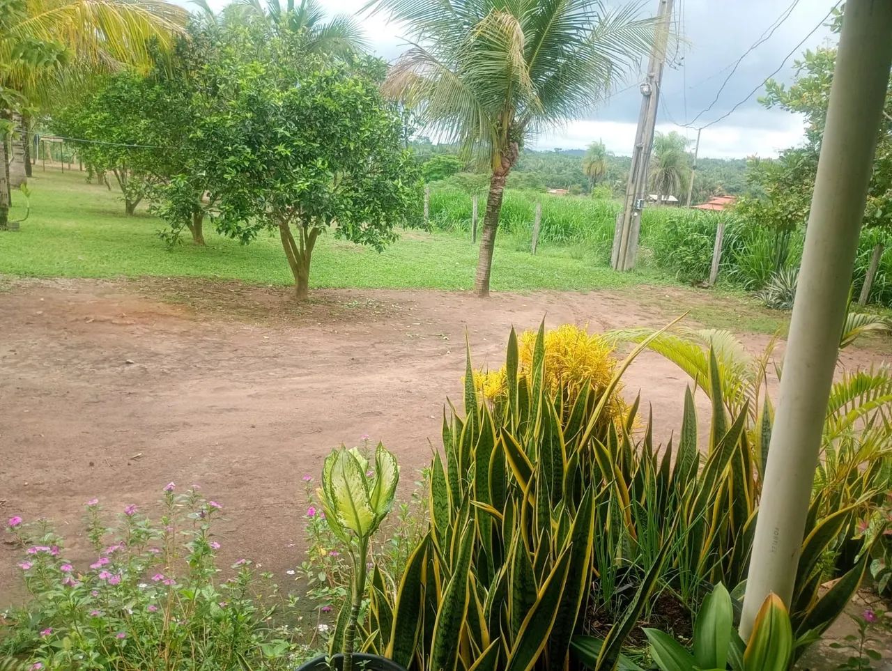 Vende se Chácara  - Foto 5