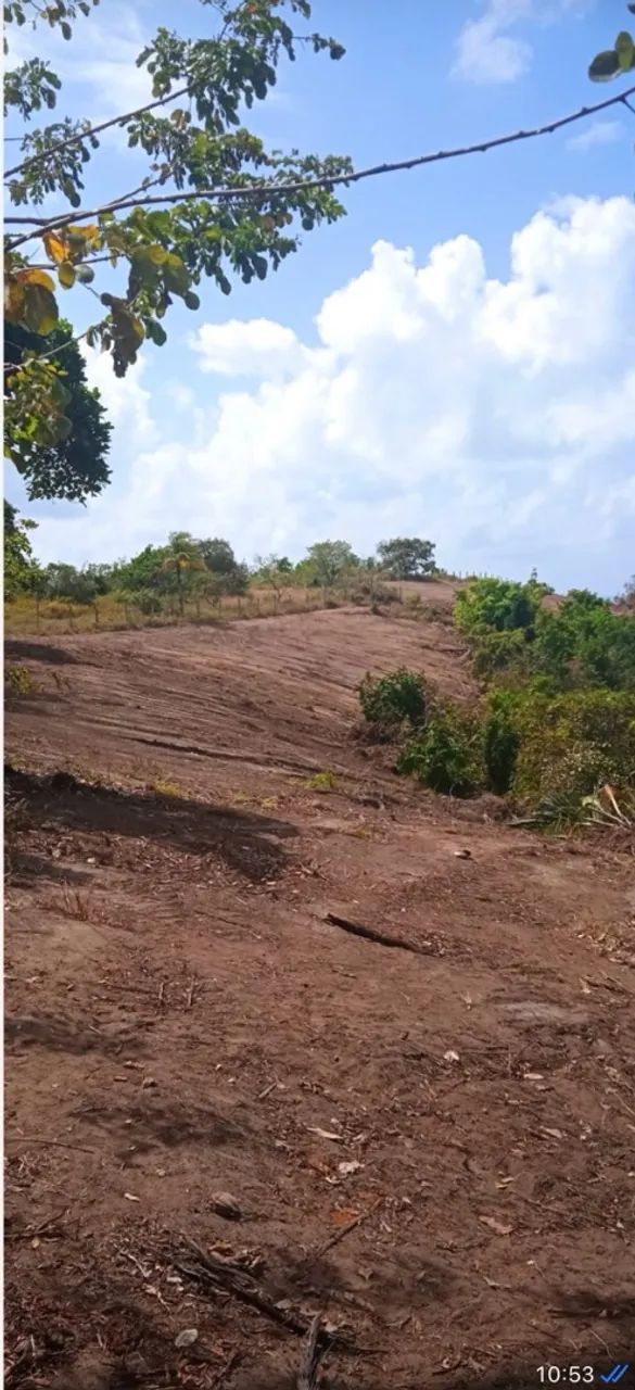 Terreno a venda São Miguel dos milagres  - Foto 2