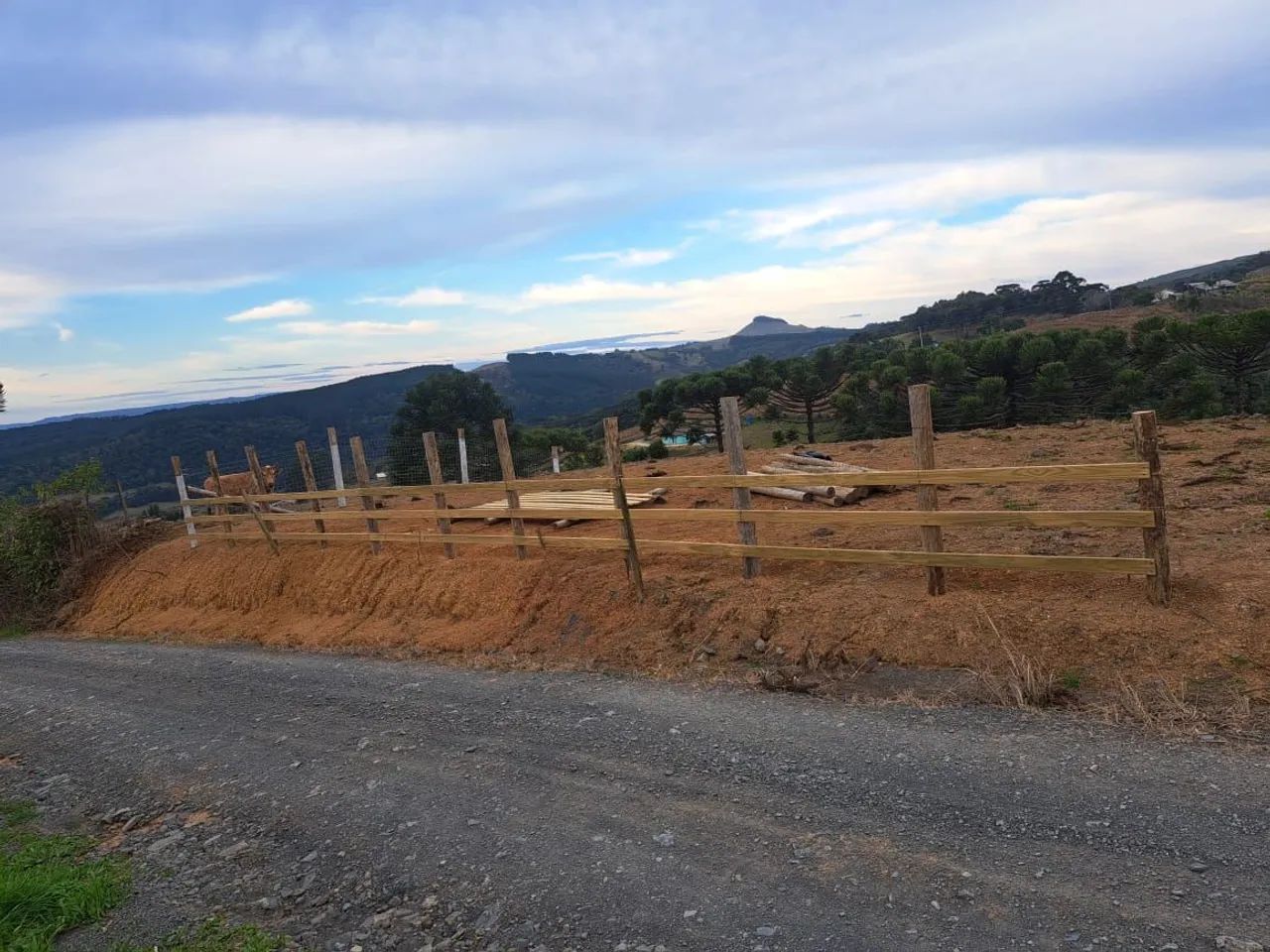 9Terreno em alfredo vagber  - Foto 2