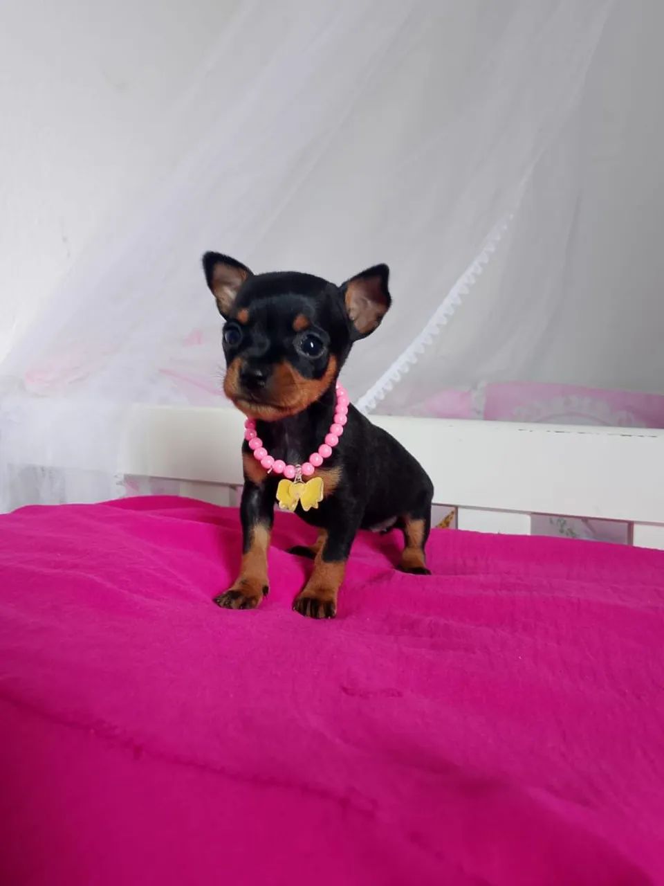 Princesa linda  - Foto 2