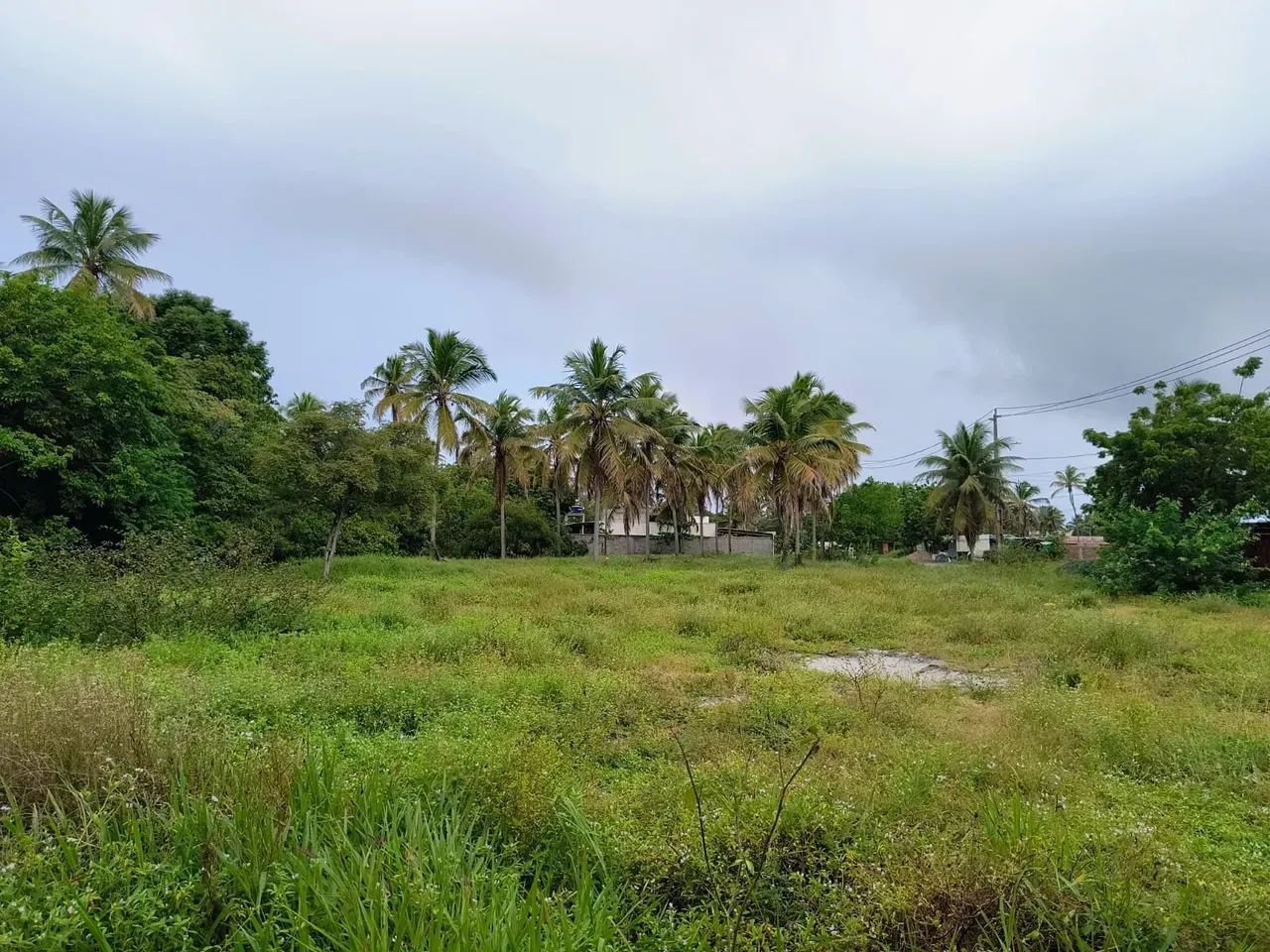 Lote para repasse - Porto coqueiral - Oportunidade!! - Foto 3