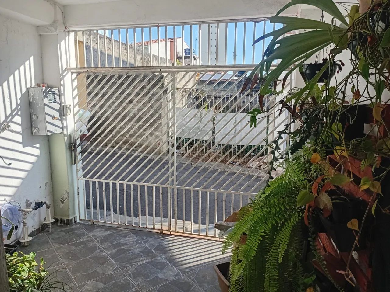 Foto - Mogi das Cruzes - Centro