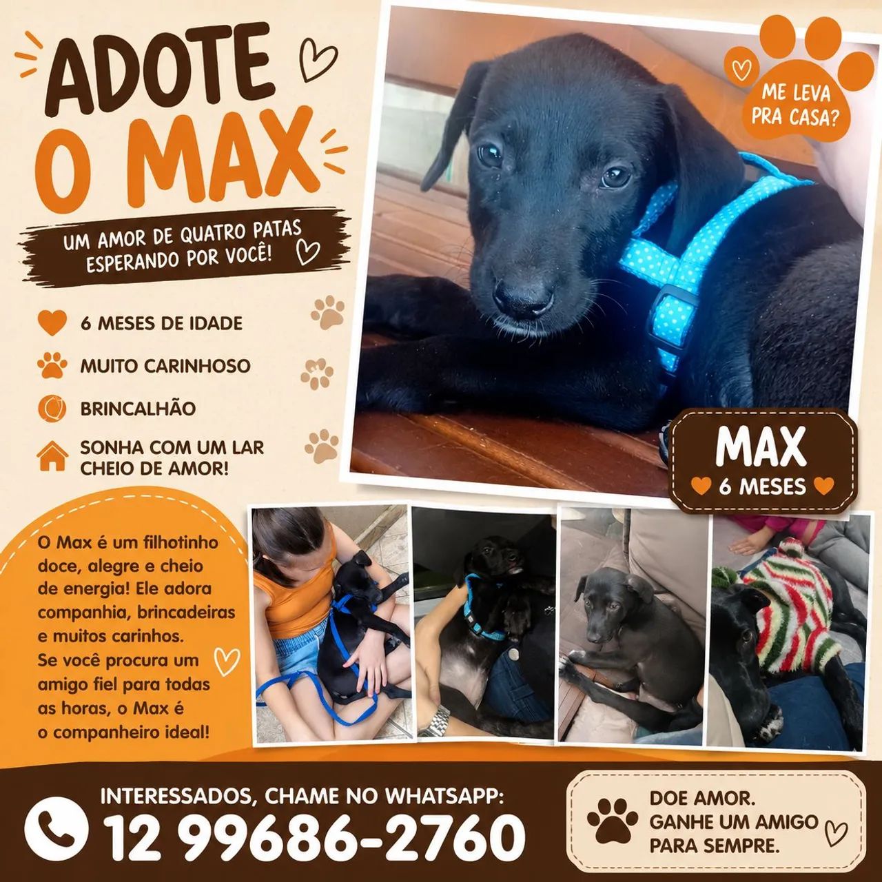 Cachorro Max