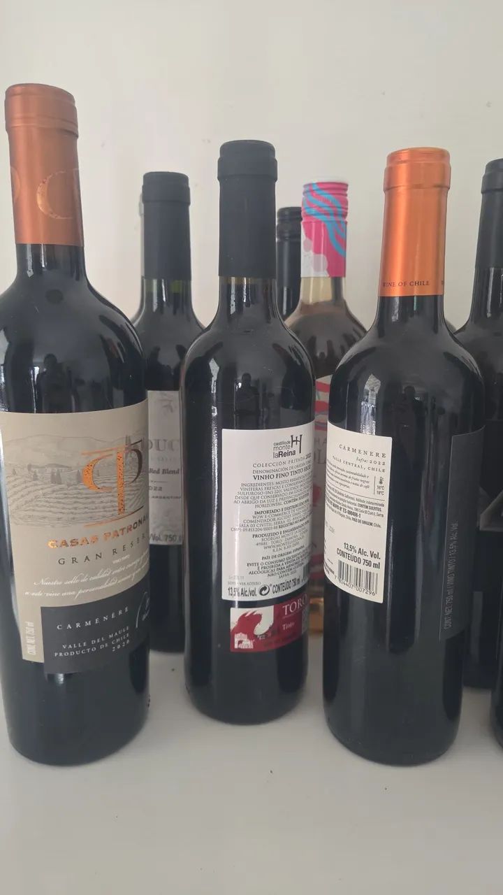 Coleção simples de vinhos 