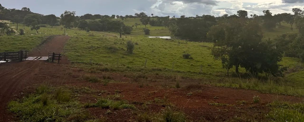 Fazenda extra - Foto 2