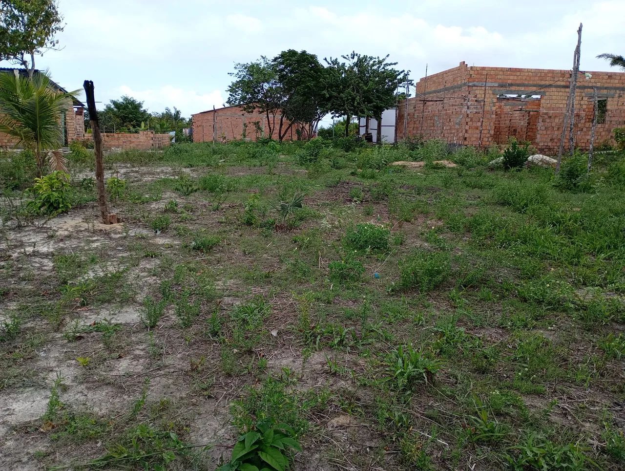Terre bem localizado  - Foto 3