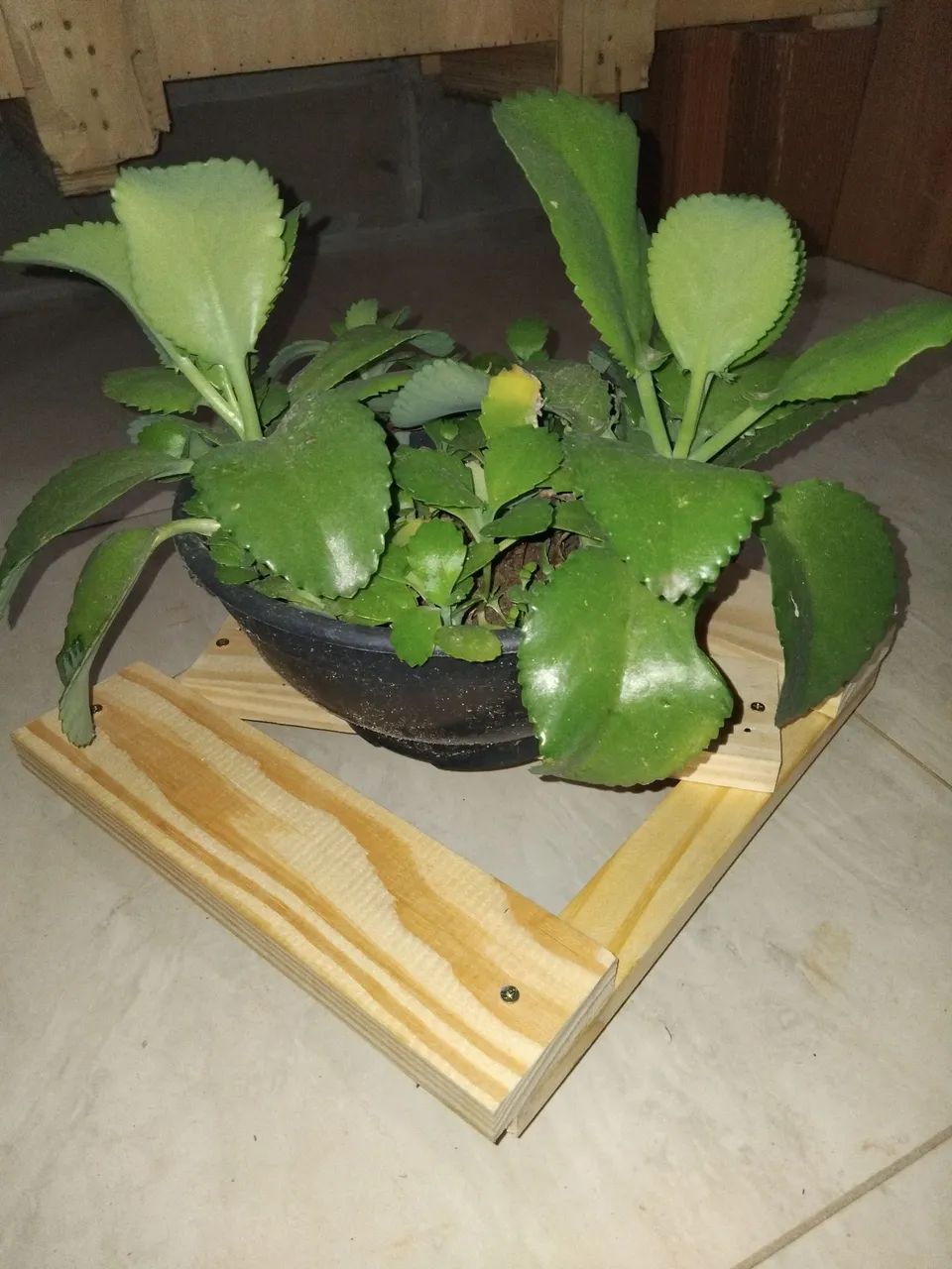 Marcenaria artesanal  - Foto 6
