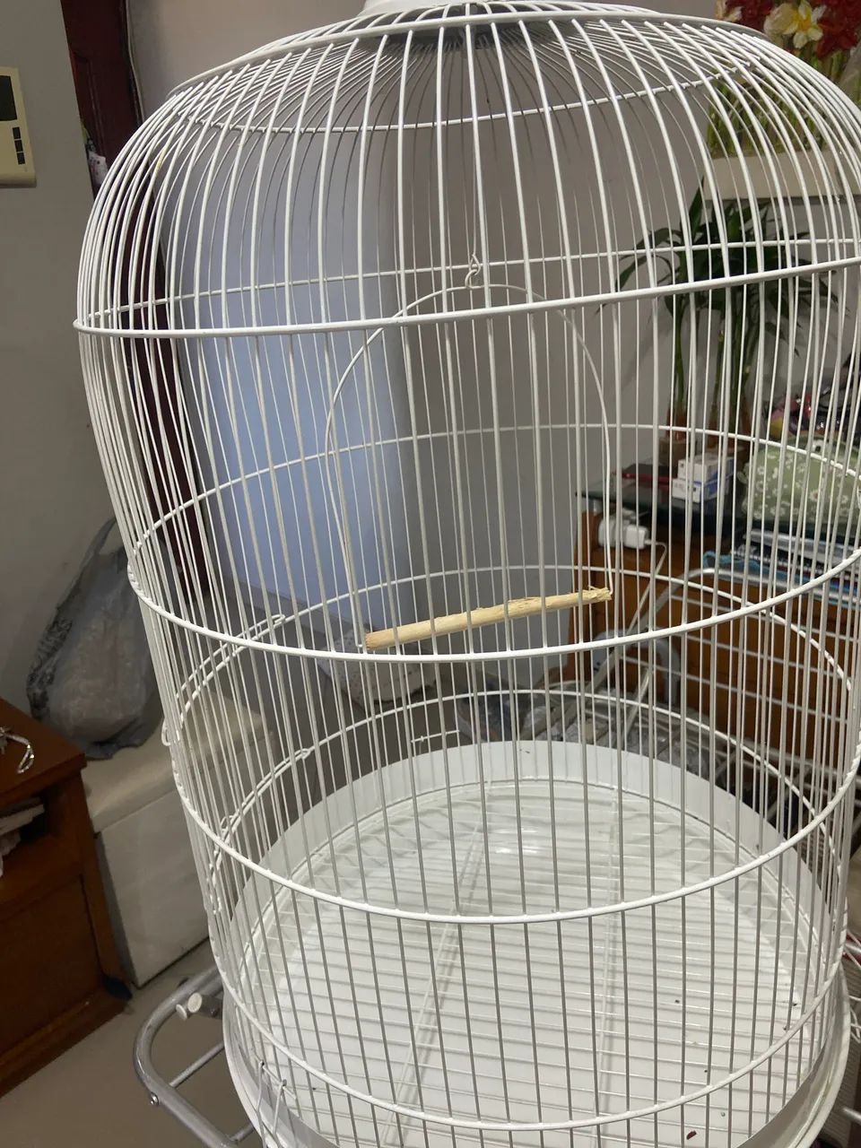 Gaiola Piu Piu 2 - Foto 2