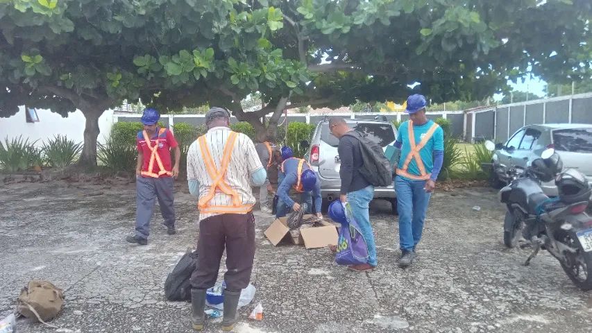 Mão de obra para construção e reforma  - Foto 4
