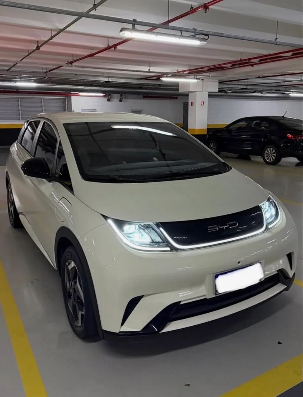 BYD Dolphin 2024