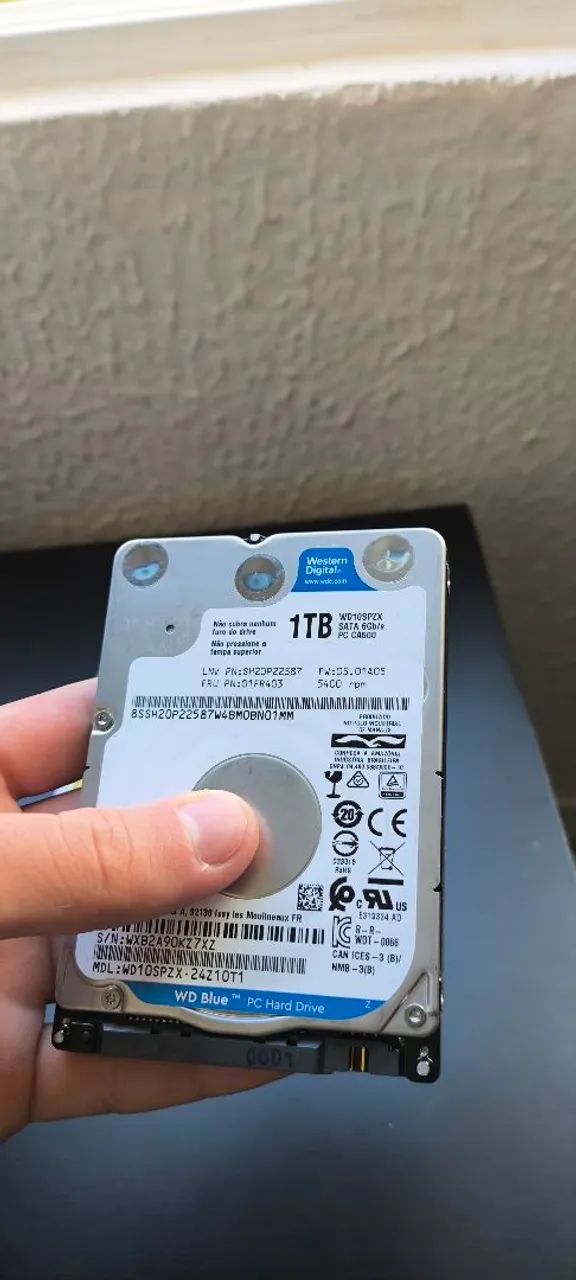 HD's de 1T (1000GB)