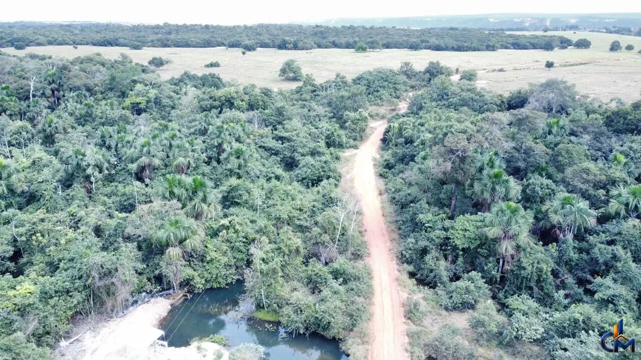 Fazenda Pecuária Tangará da Serra - Foto 3