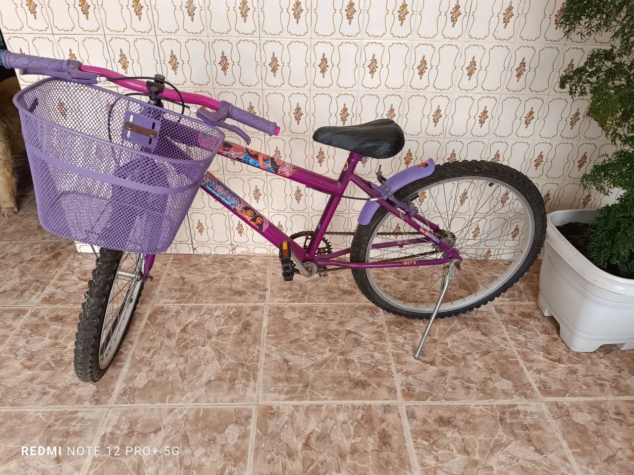 Bicicleta