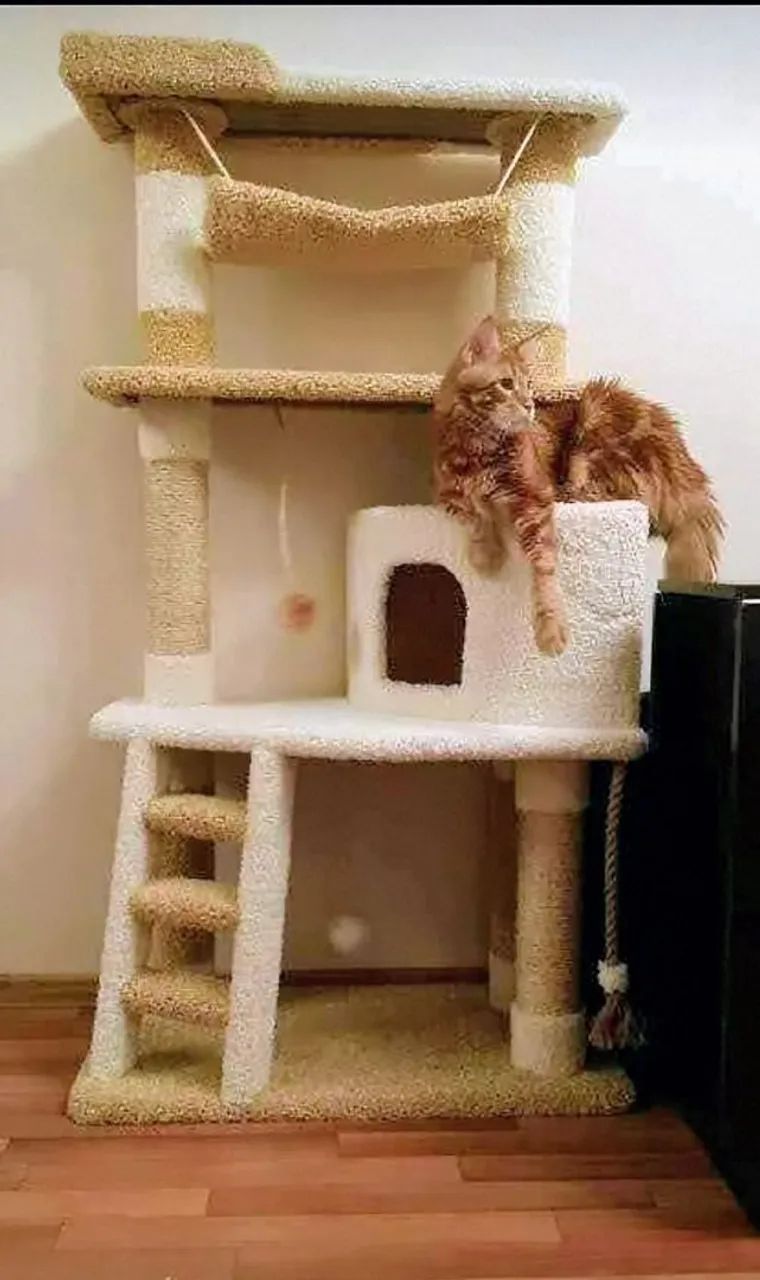 Arranhadores, torre e tocas para gatos  - Foto 3